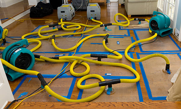 Professional Structural Drying And Dehumidification technician working in Utica, NY